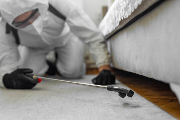 Professional Pest Control technician working in Dearborn County County, IN